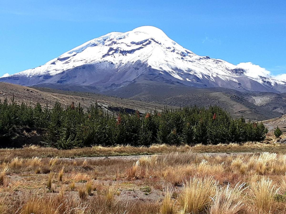 Hospedaje Chimborazo Pension Buitenkant foto