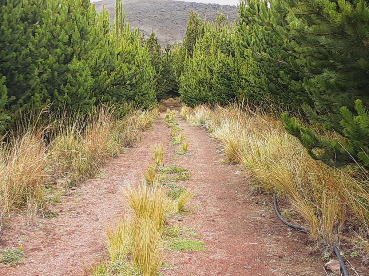 Hospedaje Chimborazo Buitenkant foto