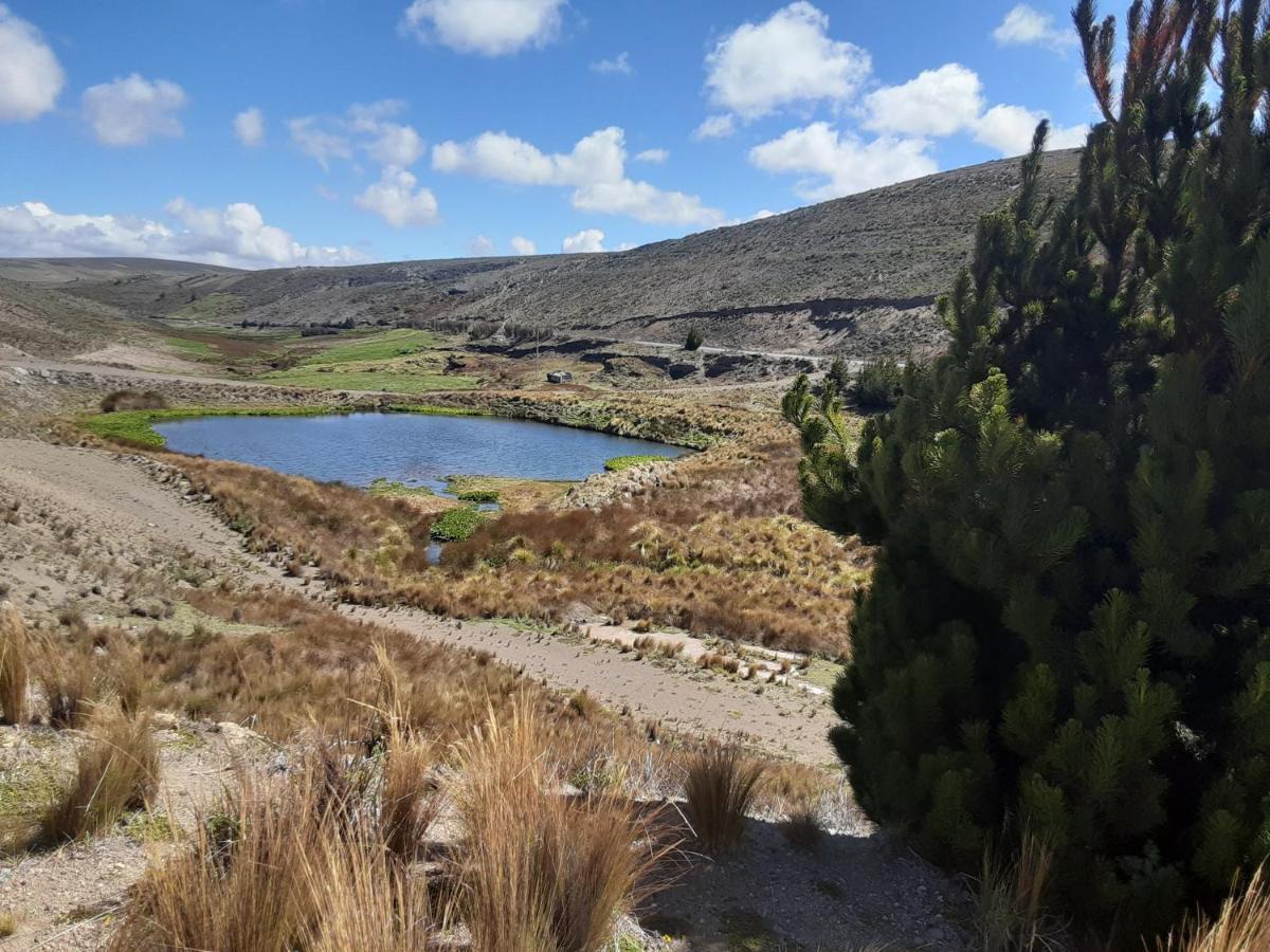 Hospedaje Chimborazo Buitenkant foto