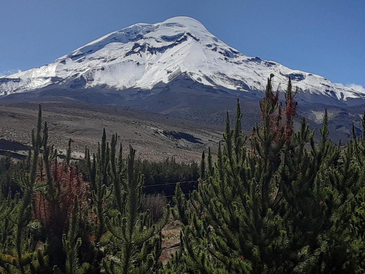 Hospedaje Chimborazo Buitenkant foto