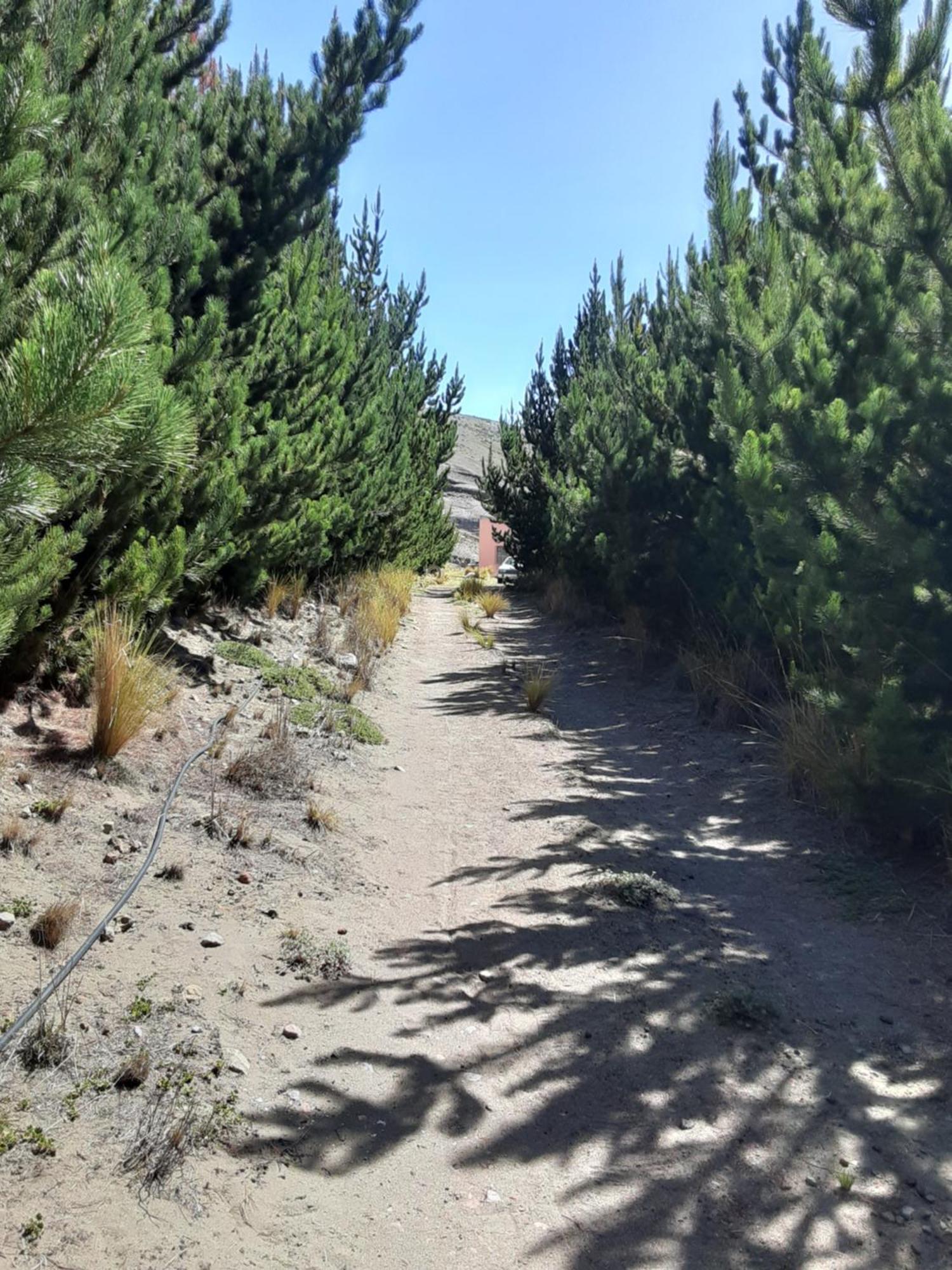 Hospedaje Chimborazo Pension Buitenkant foto